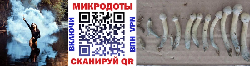 ОМГ ОМГ ТОР купить закладку Пушкино Псилоцибиновые грибы мухоморы